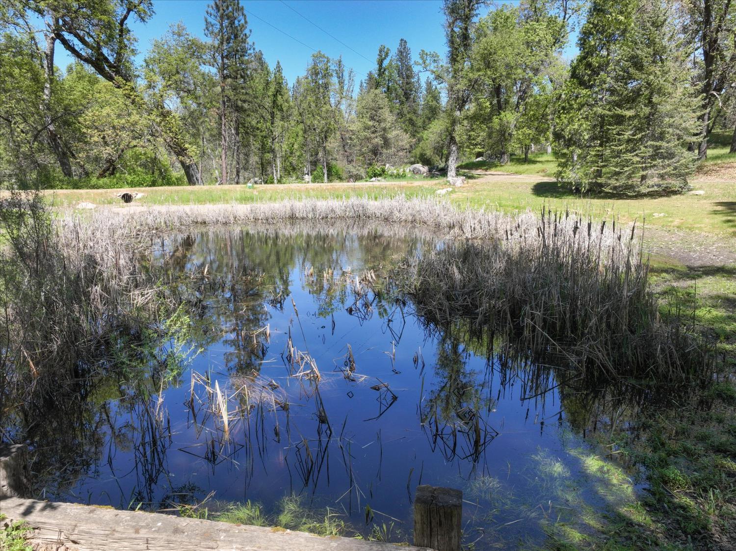 37733 37736 Black Ranch Rd, Oakhurst, CA 93644