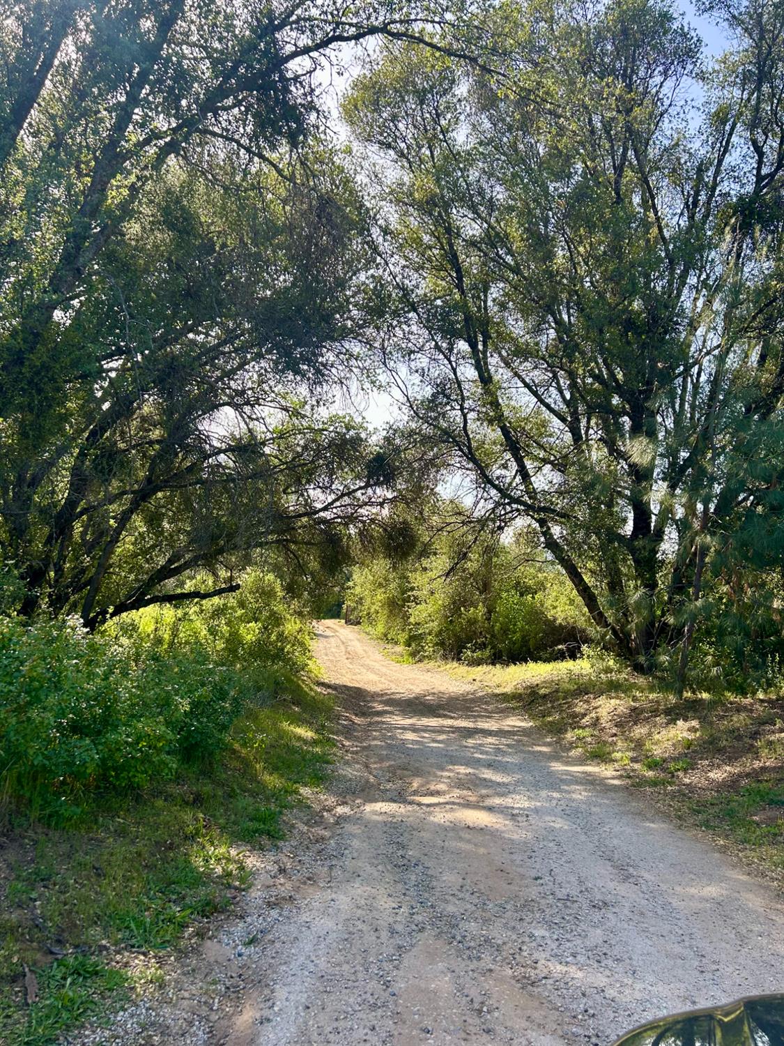 49992 Road 426, Oakhurst, CA 93644