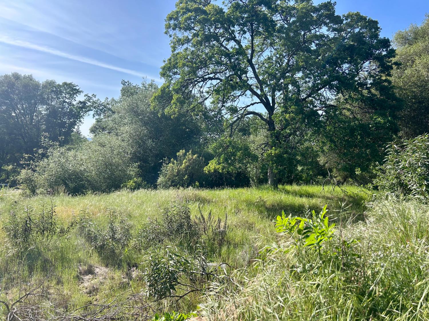 49992 Road 426, Oakhurst, CA 93644