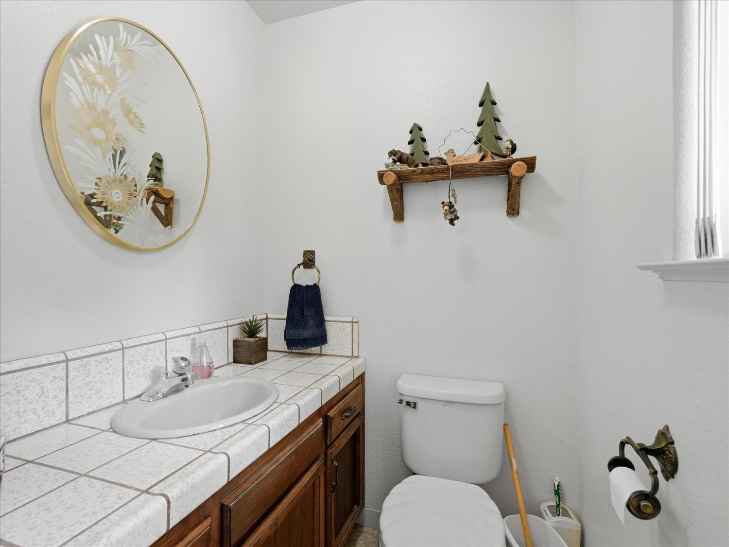 45577 Meadow Brook Way, Coarsegold, CA 93614