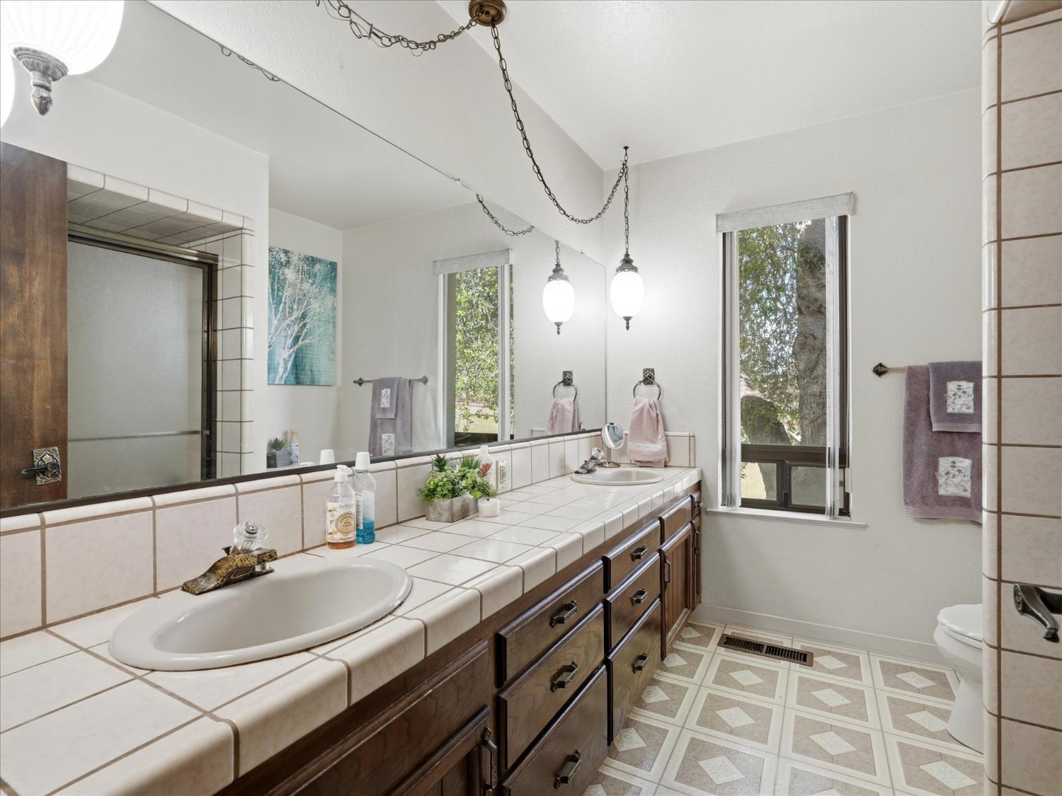 45577 Meadow Brook Way, Coarsegold, CA 93614