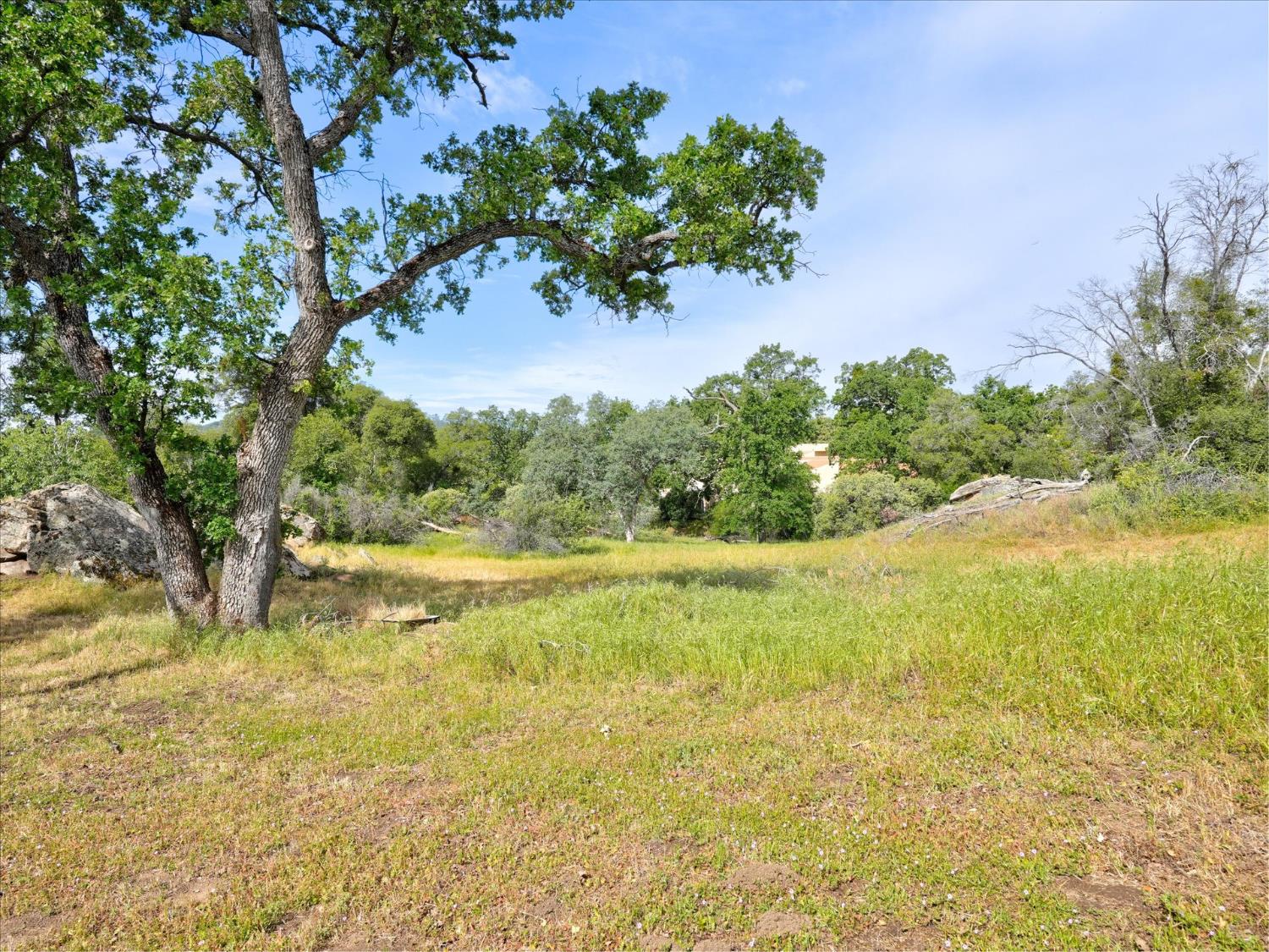45577 Meadow Brook Way, Coarsegold, CA 93614
