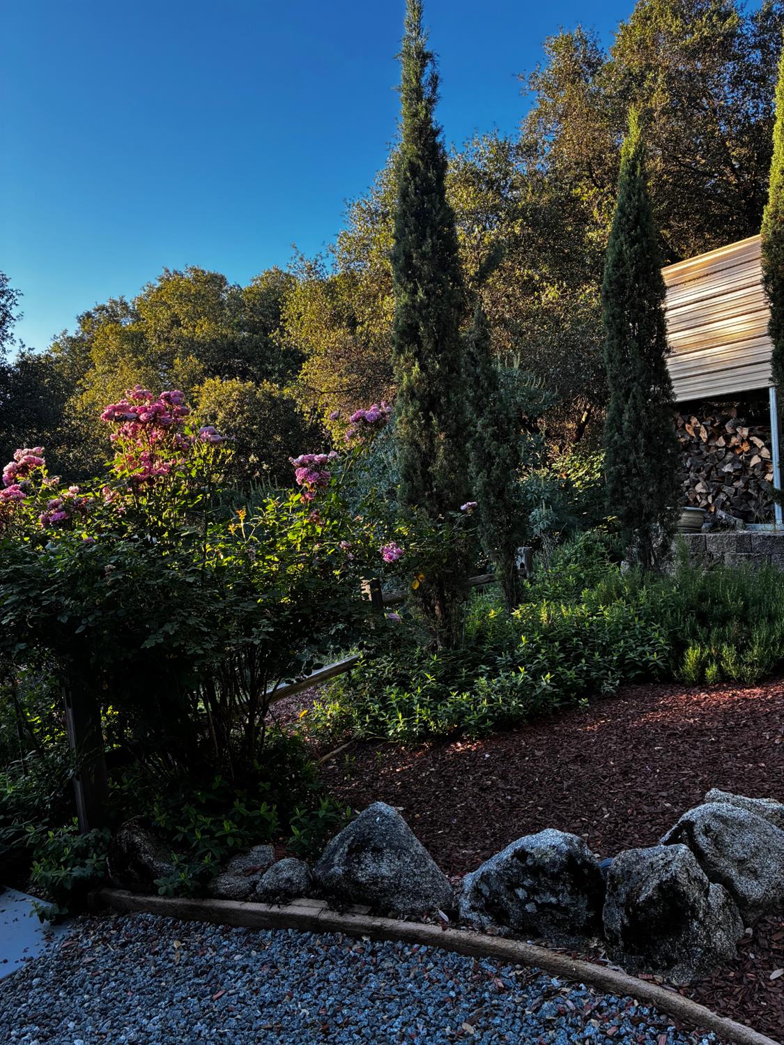 39309 Forest Park Ln, Oakhurst, CA 93644