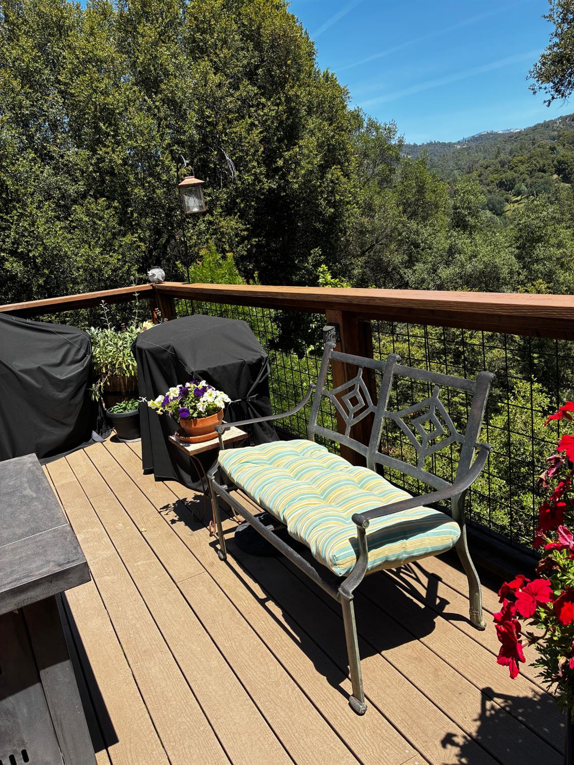 39309 Forest Park Ln, Oakhurst, CA 93644