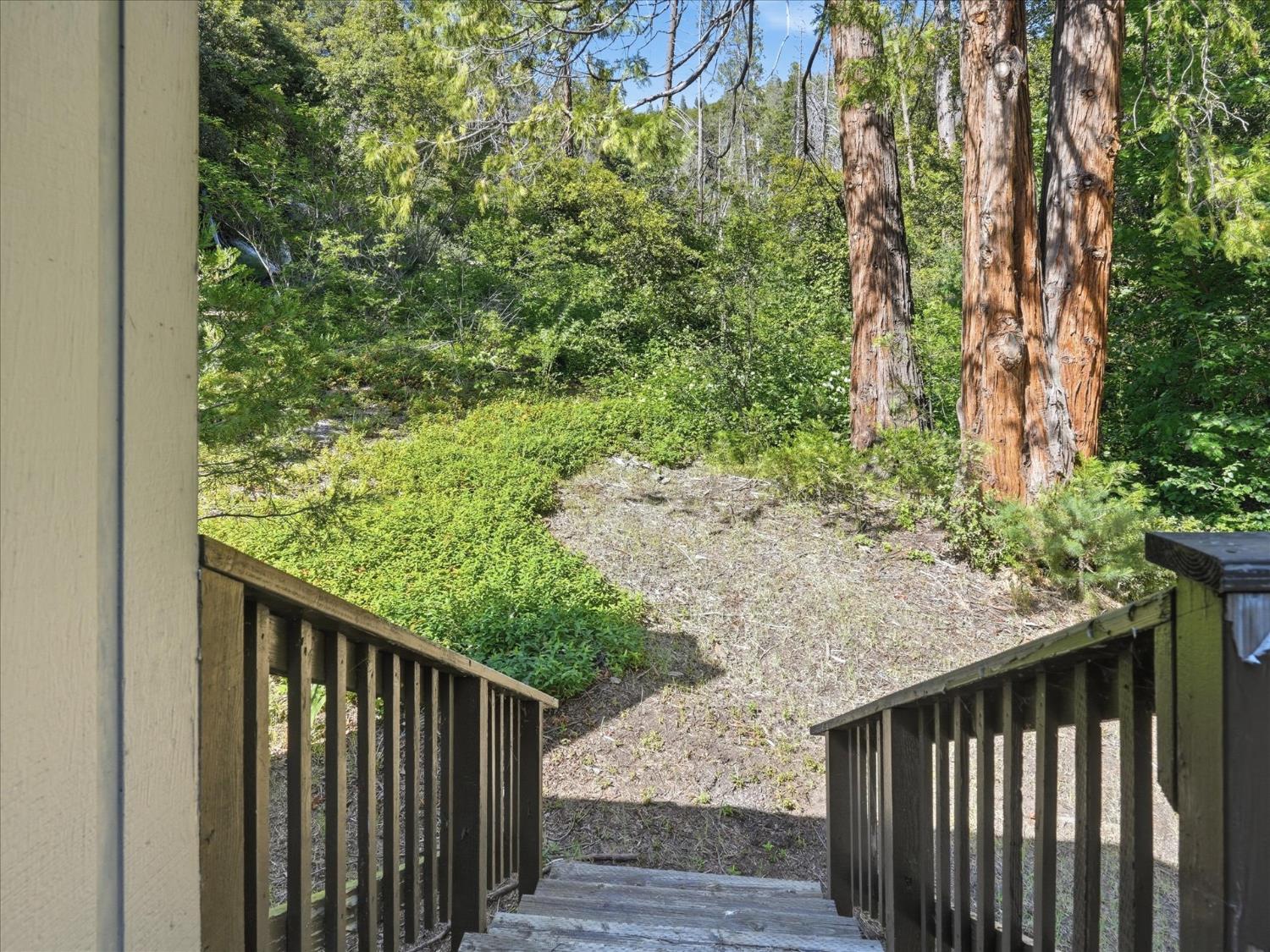 45167 Tolladay Rd, Oakhurst, CA 93654