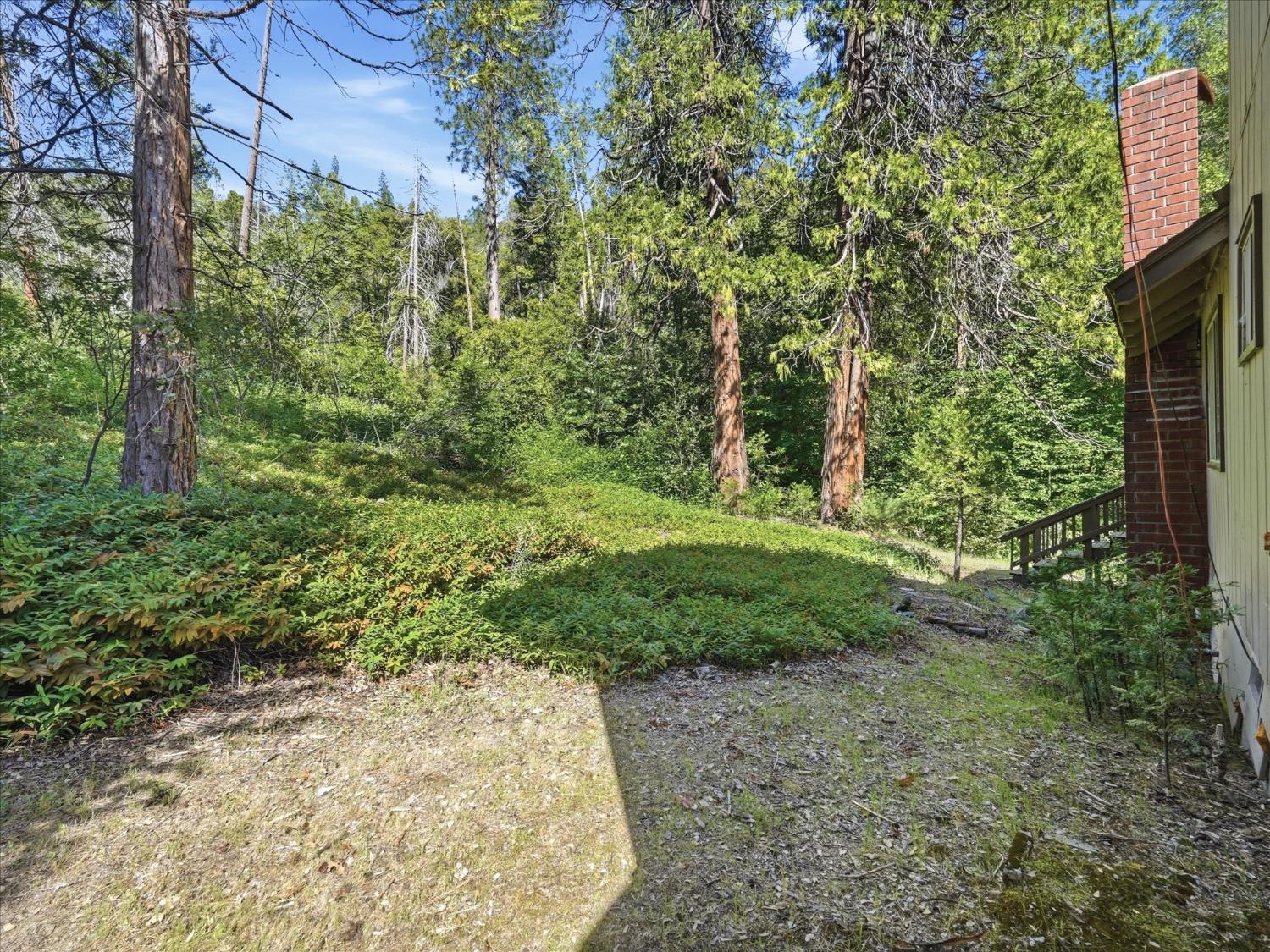45167 Tolladay Rd, Oakhurst, CA 93654