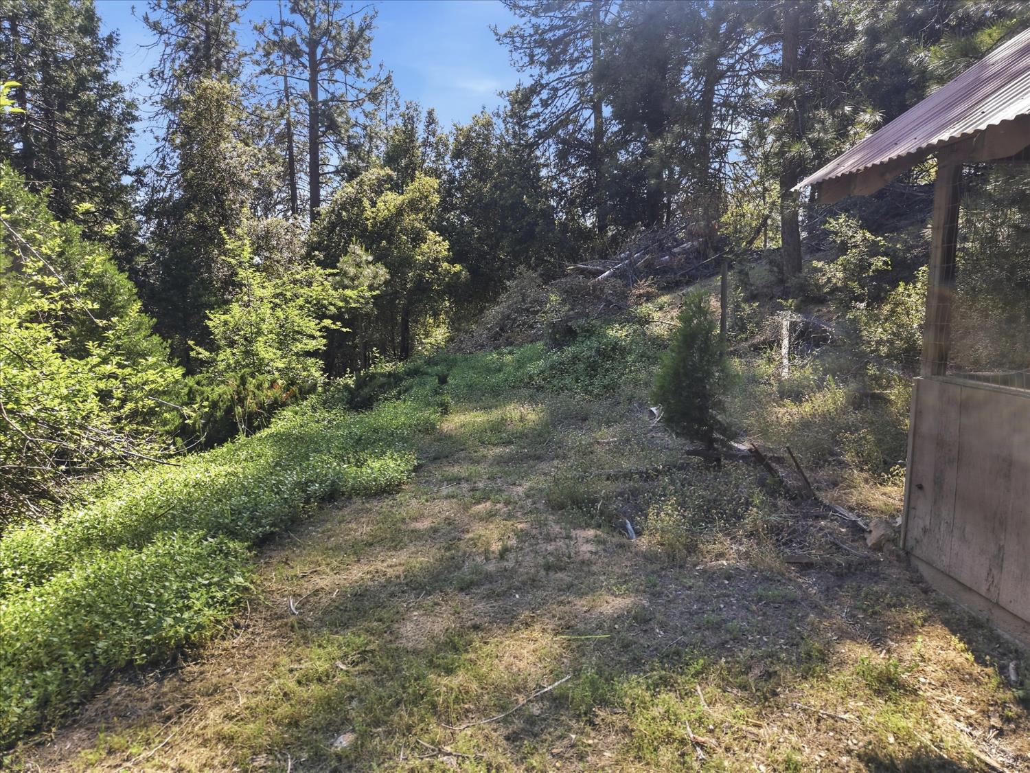 45167 Tolladay Rd, Oakhurst, CA 93654