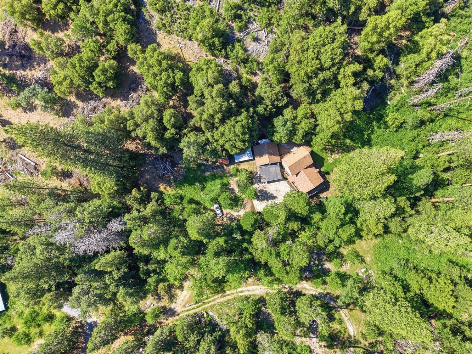 45167 Tolladay Rd, Oakhurst, CA 93654