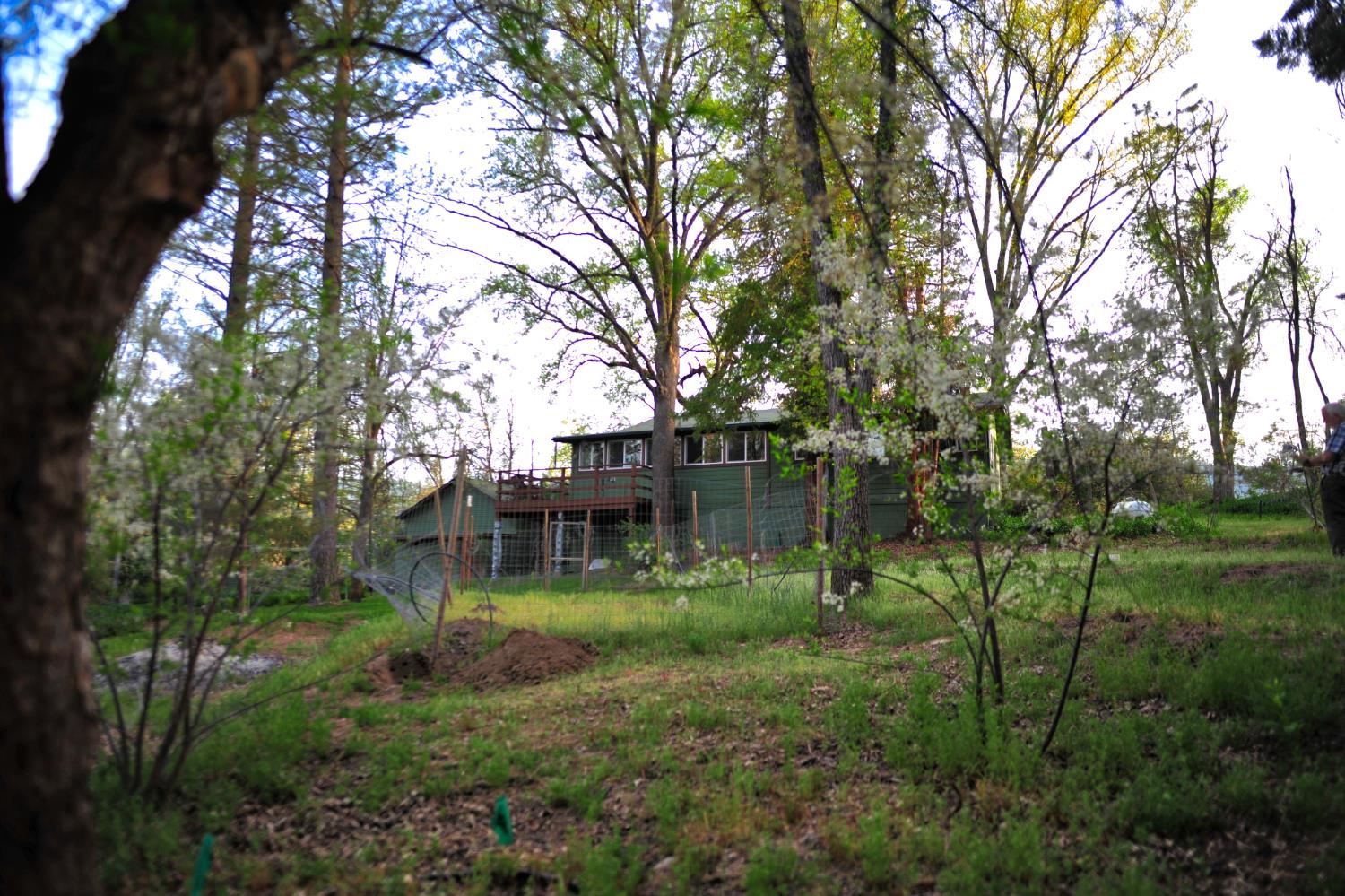 45695 Lauri Lane, Oakhurst, CA 93644