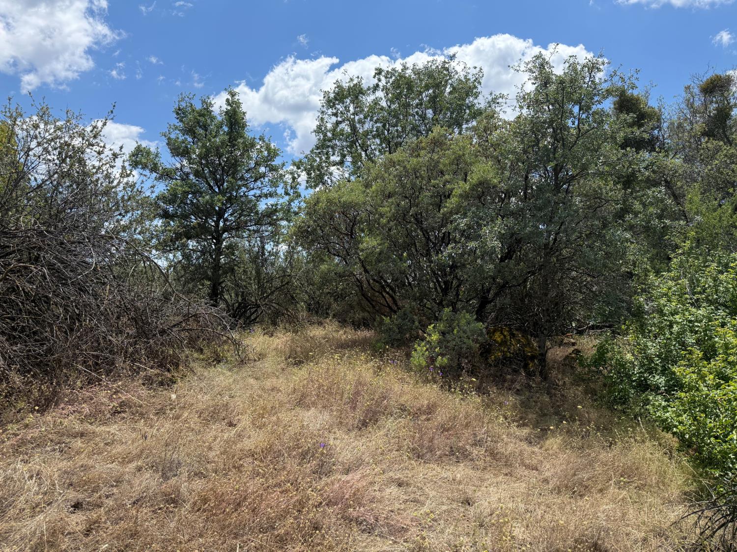 3295 Wildcat Rd, Mariposa, CA 95338