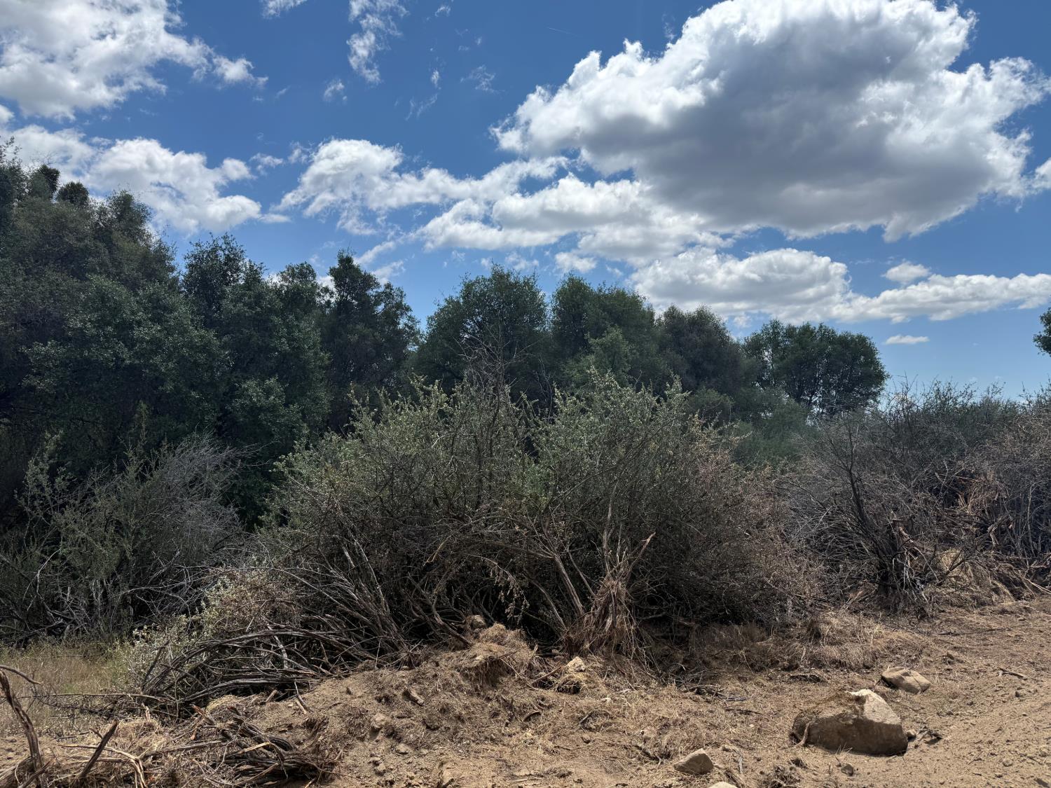 3295 Wildcat Rd, Mariposa, CA 95338