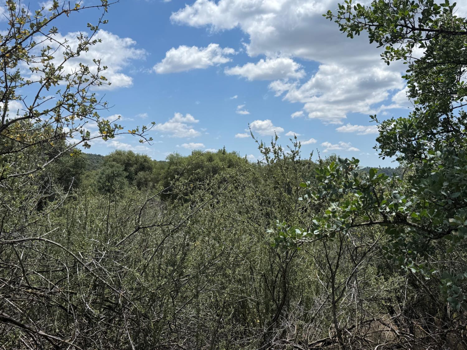 3295 Wildcat Rd, Mariposa, CA 95338