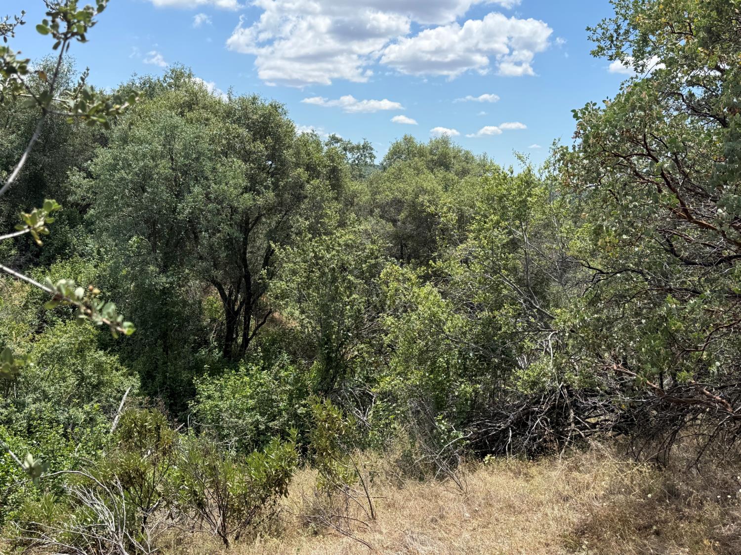 3295 Wildcat Rd, Mariposa, CA 95338