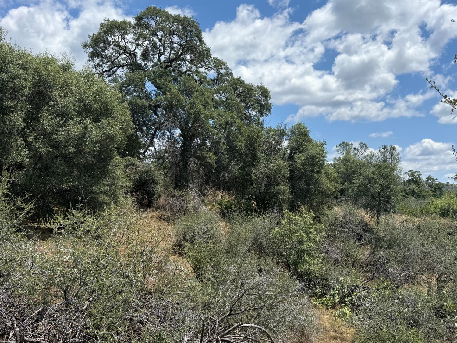 3295 Wildcat Rd, Mariposa, CA 95338