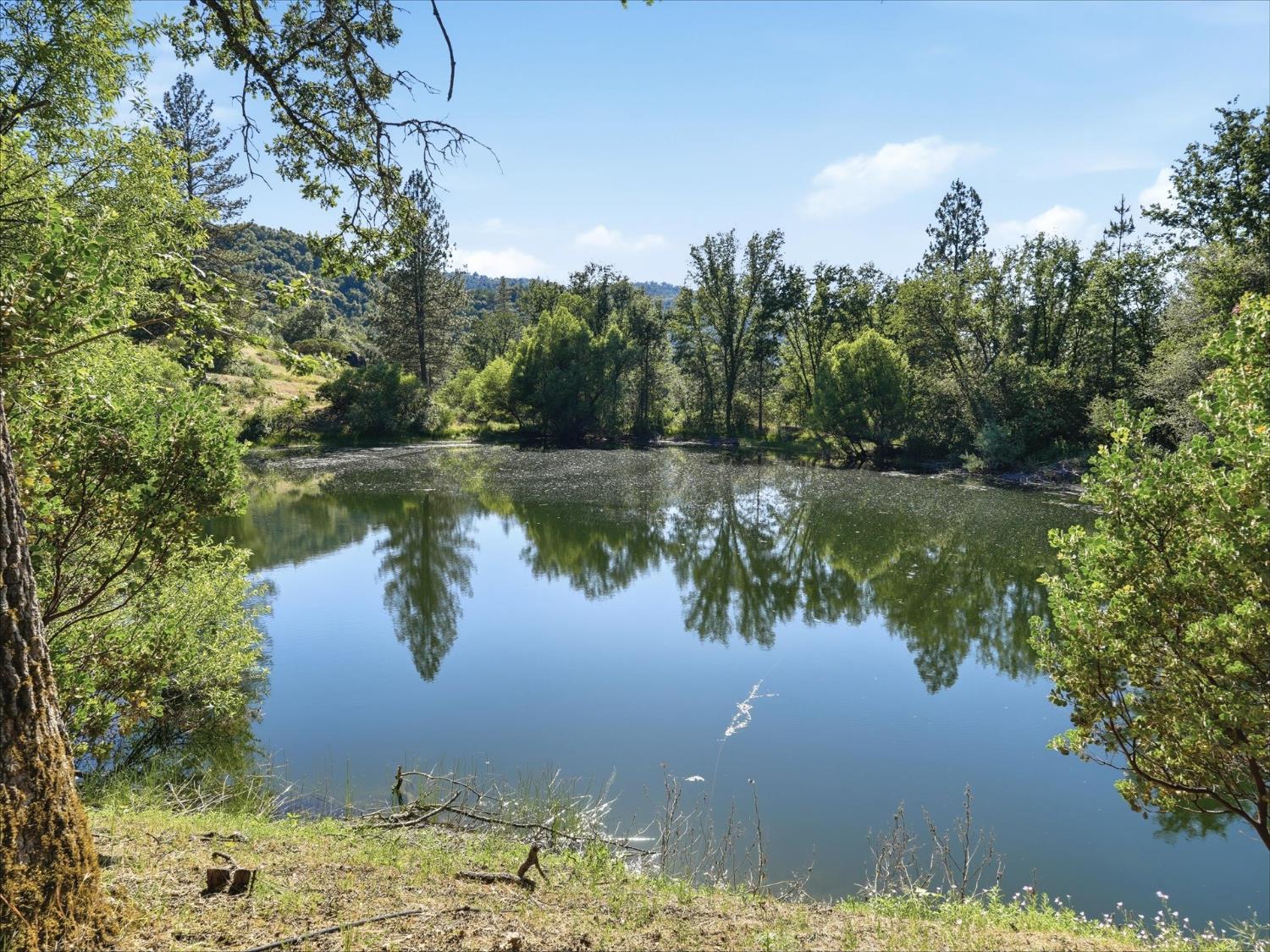 46088 Sutton Dr, Oakhurst, CA 93644