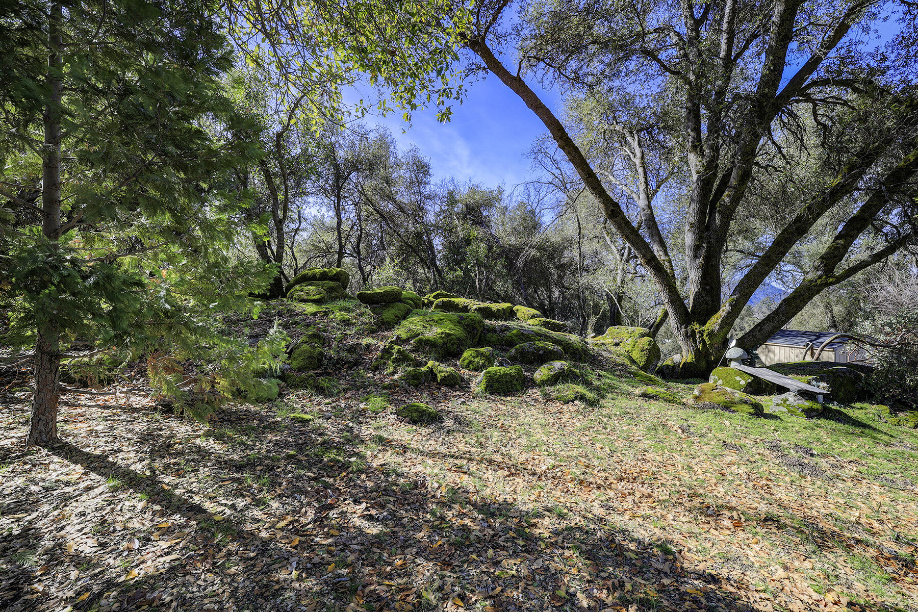 41324 Pamela Pl, Oakhurst, CA 93644