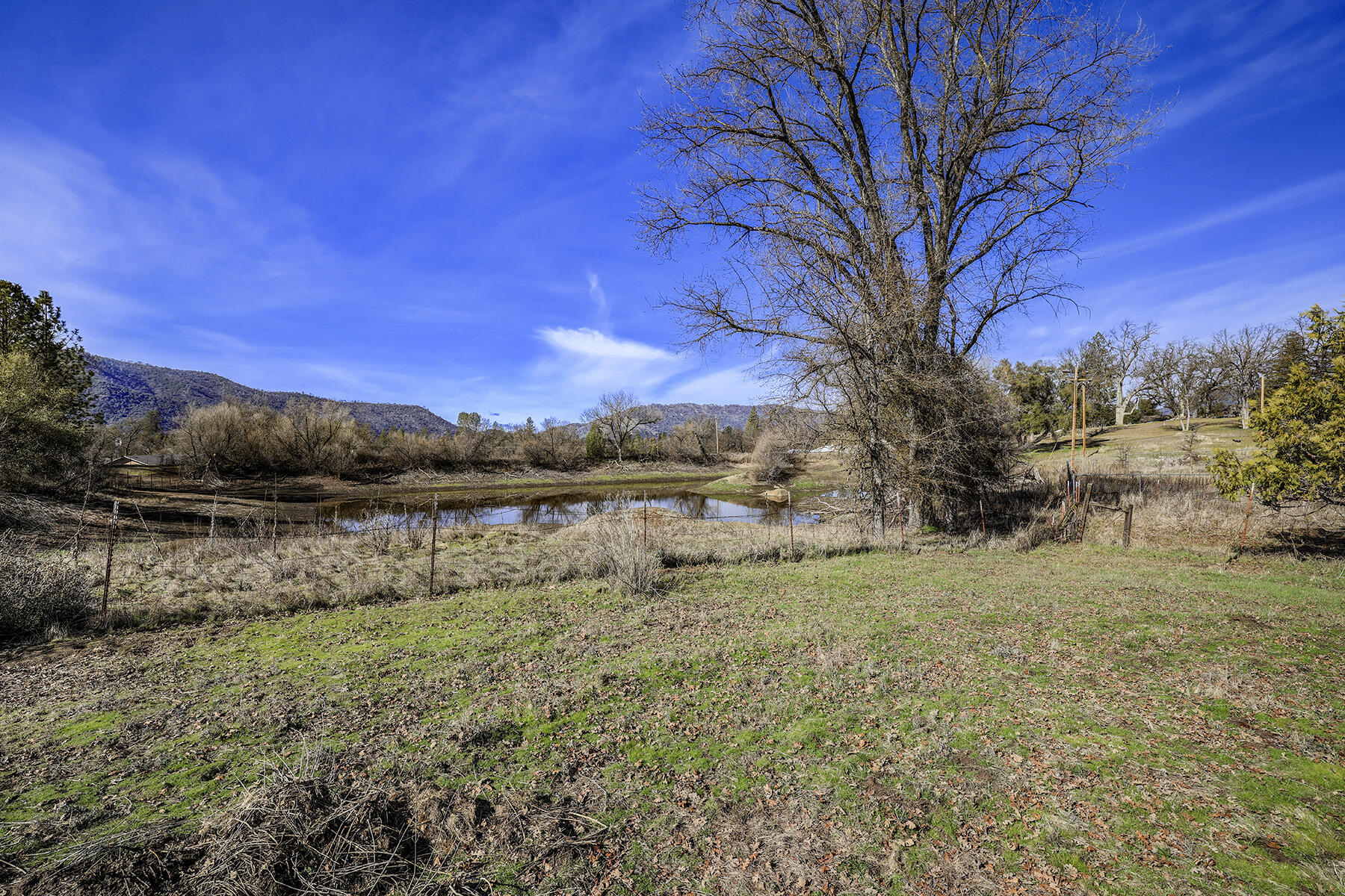 41324 Pamela Pl, Oakhurst, CA 93644